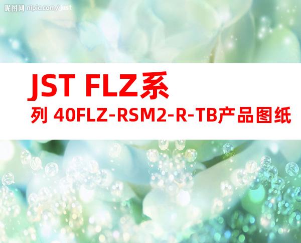 JST FLZ系列 40FLZ-RSM2-R-TB产品图纸